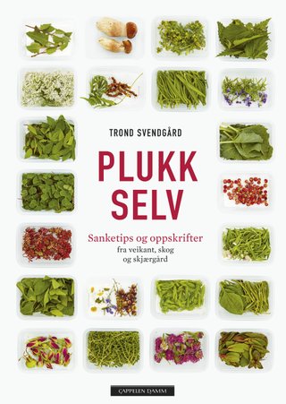 "Plukk selv" av Trond Svendgård
