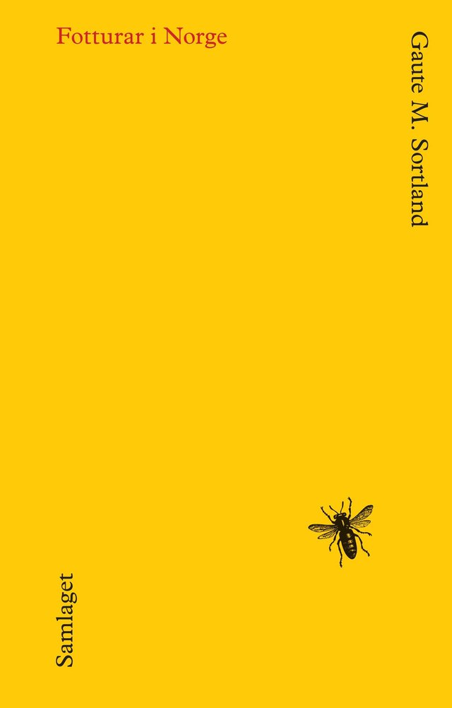 "Fotturar i Norge" av Gaute M. Sortland