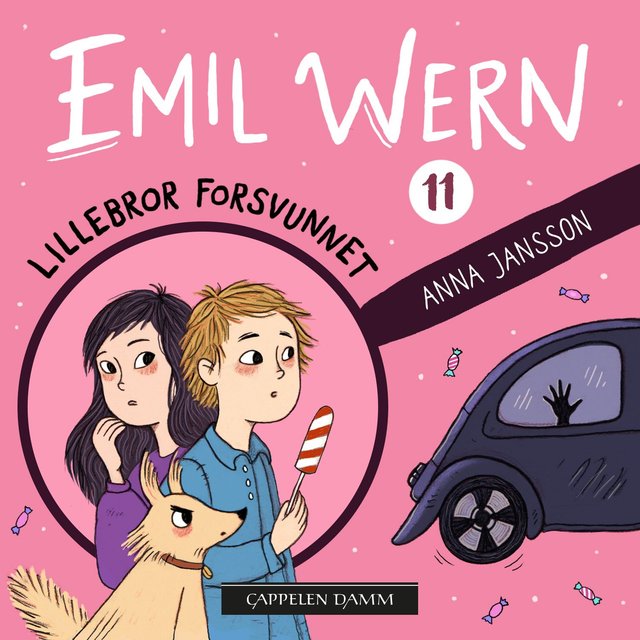 "Lillebror forsvunnet" av Anna Jansson