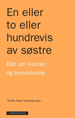 En eller to eller hundrevis av søstre - dikt om kvinner og kvinnekamp