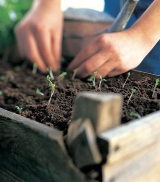 Lyst på livet - Hagetips