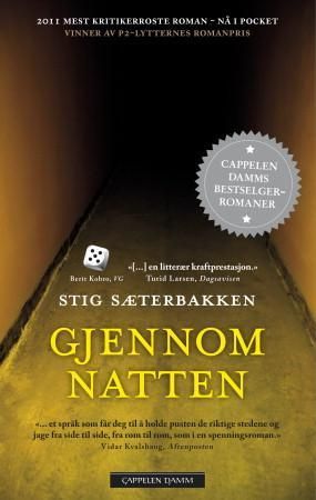 Gjennom natten - roman