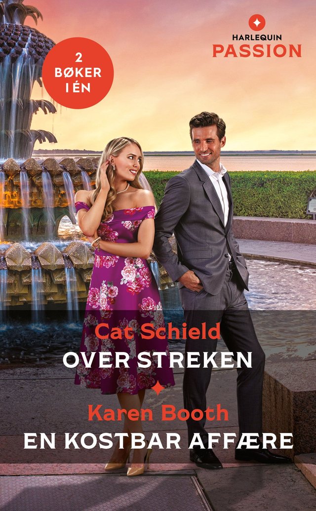 "Over streken ; En kostbar affære" av Cat Schield