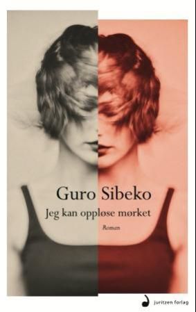 Jeg kan oppløse mørket - roman