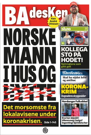 Norske mann i hus og hytte