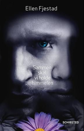 "Sammen skal vi holde himmelen - Luka-trilogien" av Ellen Fjestad