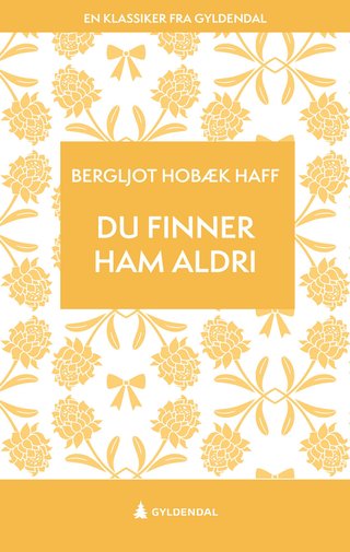 Du finner ham aldri - roman