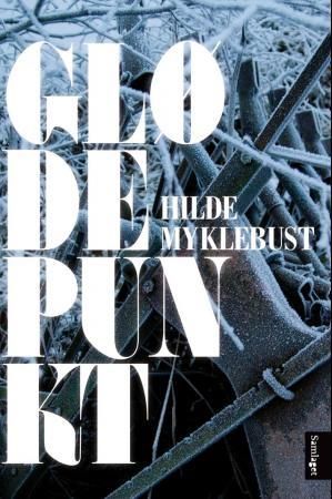 "Glødepunkt - roman" av Hilde Myklebust