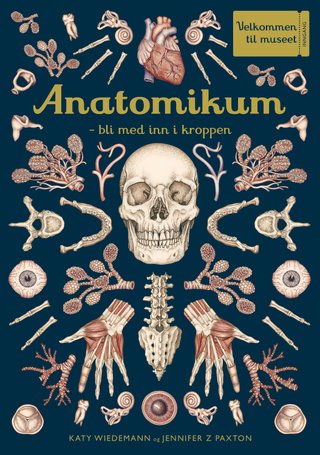 Anatomikum - bli med inn i kroppen