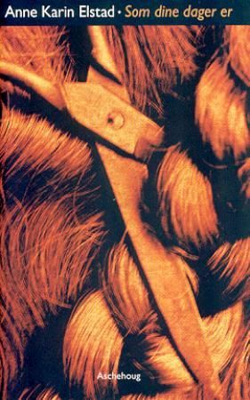 "Som dine dager er - roman" av Anne Karin Elstad