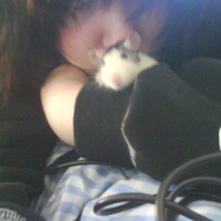 Naomi Kristin Thorsen