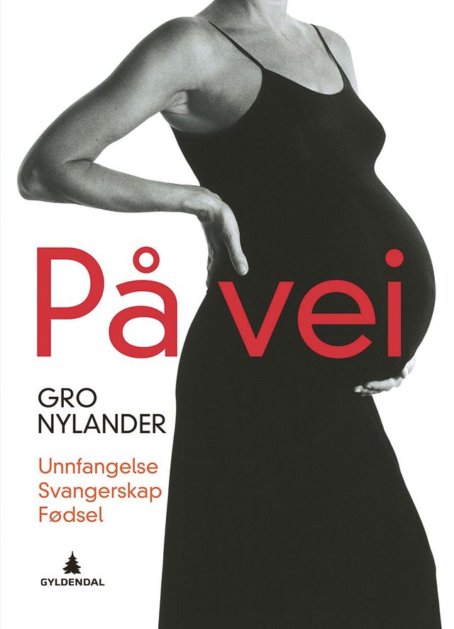 "På vei - unnfangelse, svangerskap, fødsel" av Gro Nylander