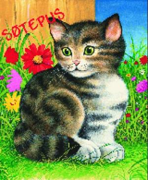 "Søtepus" av Jan Kazimierz Siwek