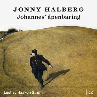 Johannes' åpenbaring - roman