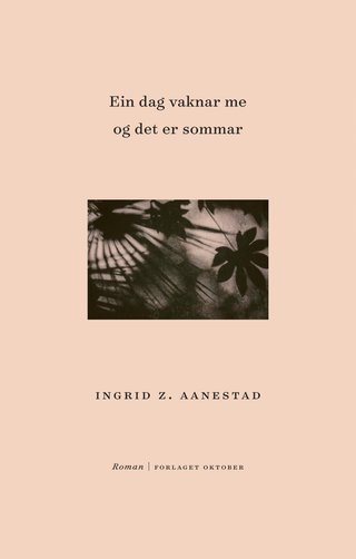 Ein dag vaknar me og det er sommar - roman