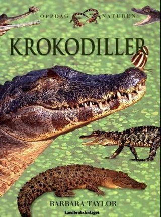 Krokodiller