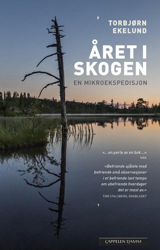 Året i skogen - en mikroekspedisjon