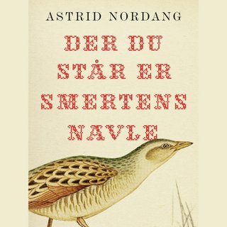 Der du står er smertens navle