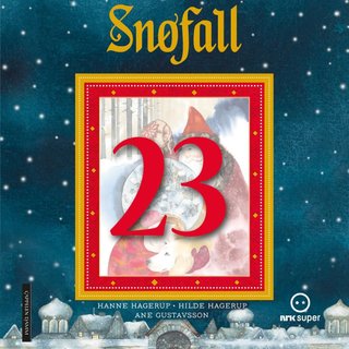 Snøfall 23. desember