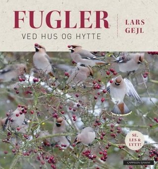 Fugler ved hus og hytte