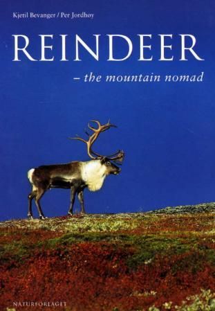Reindeer - the mountain nomad
