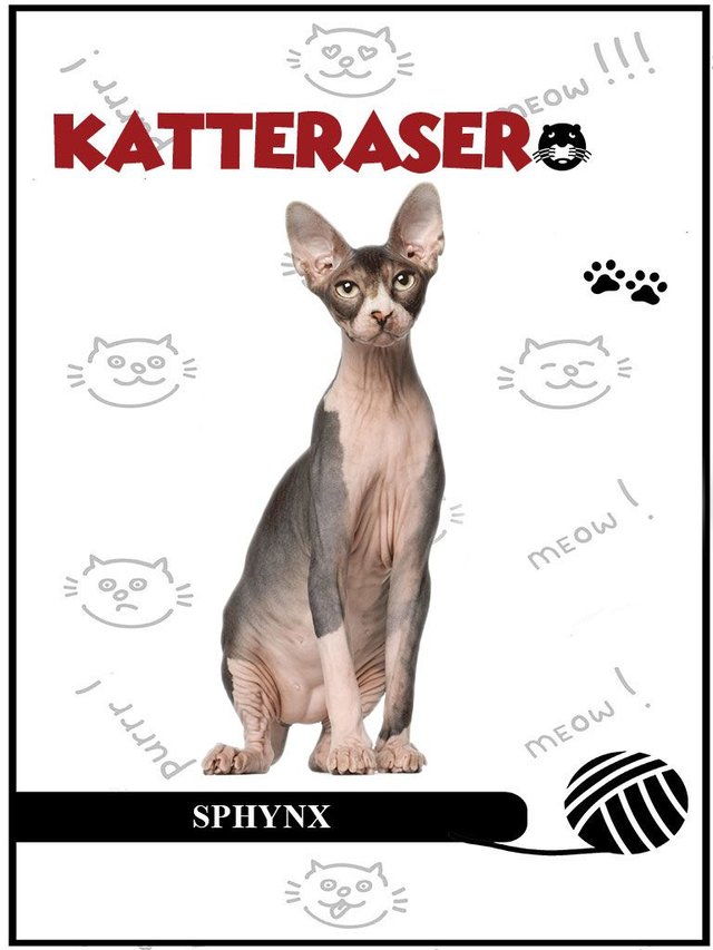 "Sphynx" av Tania Cheslaw