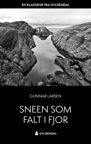 "Sneen som falt i fjor" av Gunnar Larsen