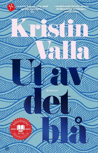 Ut av det blå - roman