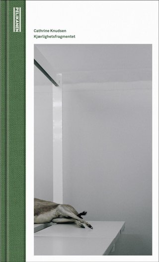 "Kjærlighetsfragmentet roman" av Cathrine Knudsen