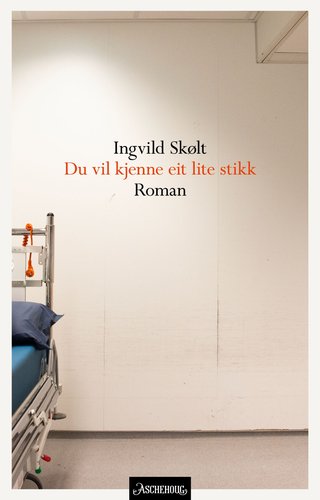 "Du vil kjenne eit lite stikk - roman" av Ingvild Skølt