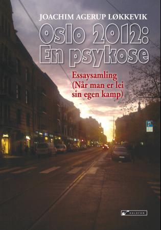 Oslo 2012: en psykose - essaysamling : (når man er lei sin egen kamp)