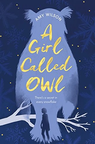 "A Girl Called Owl" av Amy Wilson