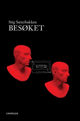 Besøket - roman