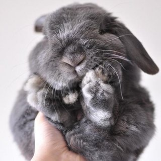 Liv Ragnhild Holdhus Sjursen