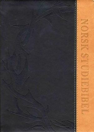 "Norsk studiebibel - med forklaringer og kommentarer" av Thoralf Gilbrant