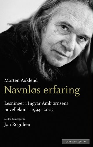 Navnløs erfaring - lesninger i Ingvar Ambjørnsens novellekunst 1994-2003