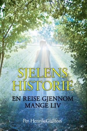 "Sjelens historie - en reise gjennom mange liv" av Per Henrik Gullfoss