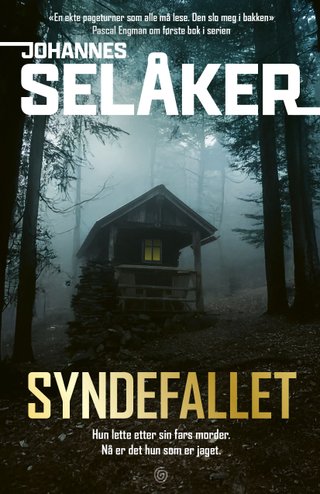 "Syndefallet" av Johannes Selåker