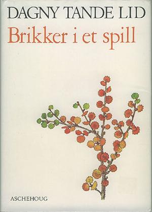 Brikker i et spill