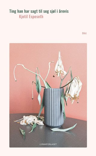 Ting han har sagt til seg sjøl i årevis