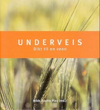 Underveis - dikt til en venn