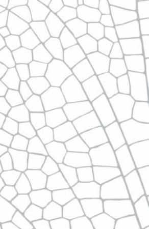 Fairyland - future classics