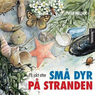 På jakt etter små dyr på stranden
