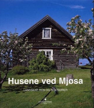 "Husene ved Mjøsa" av Martin Bækkelund