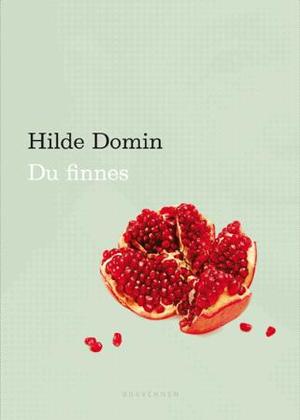 "Du finnes - dikt" av Hilde Domin