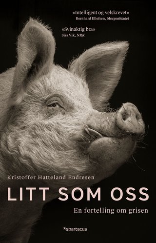 "Litt som oss - en fortelling om grisen" av Kristoffer Hatteland Endresen