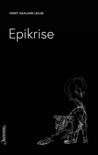 Epikrise - roman
