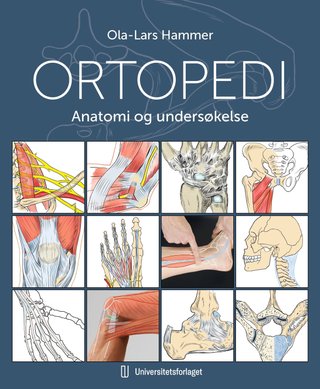 Ortopedi - anatomi og undersøkelse