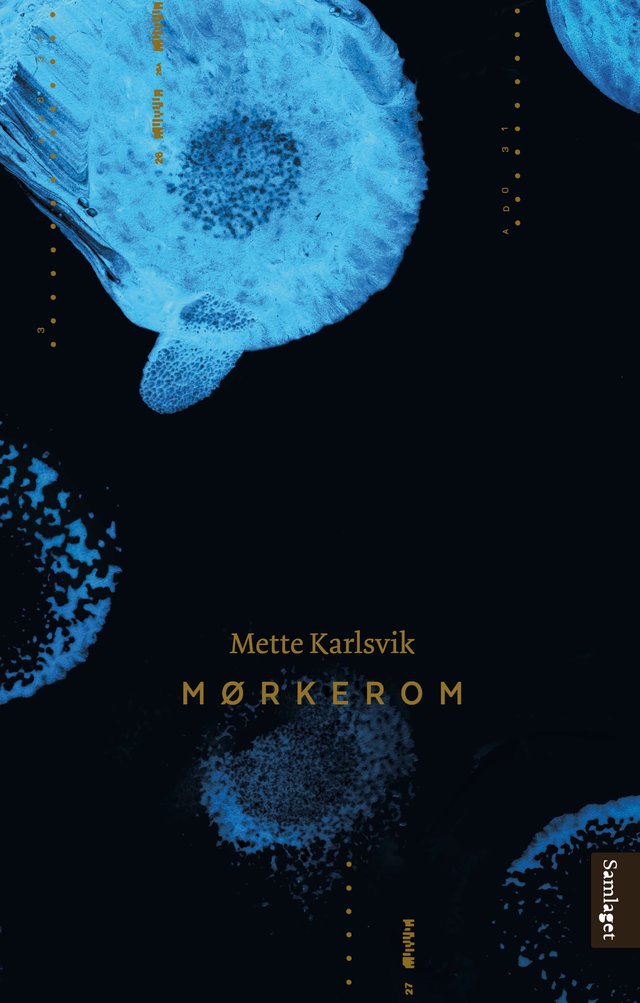"Mørkerom - roman" av Mette Karlsvik