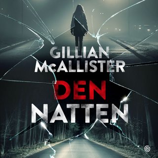 Den natten